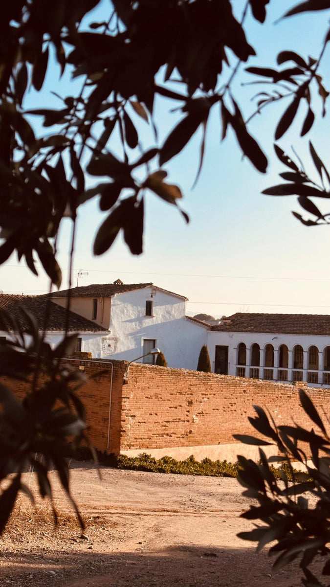 Finca Ca N'Estella
– Bodegues Ca N'Estella