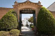 Carregar la imatge al visor de la galeria, VEREMA AL CELLER: BRUNCH, Visita i Trepitjada de Raïm