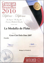 Carregar la imatge al visor de la galeria, Gran Clot dels Oms Tinto