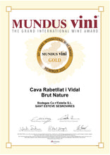 Carregar la imatge al visor de la galeria, Cava Rabetllat i Vidal Brut Nature