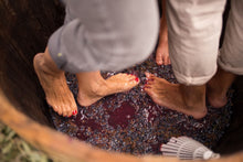 Cargar imagen en el visor de la galería, VENDIMIA EN LA BODEGA: BRUNCH, Visita y Pisada de Uvas